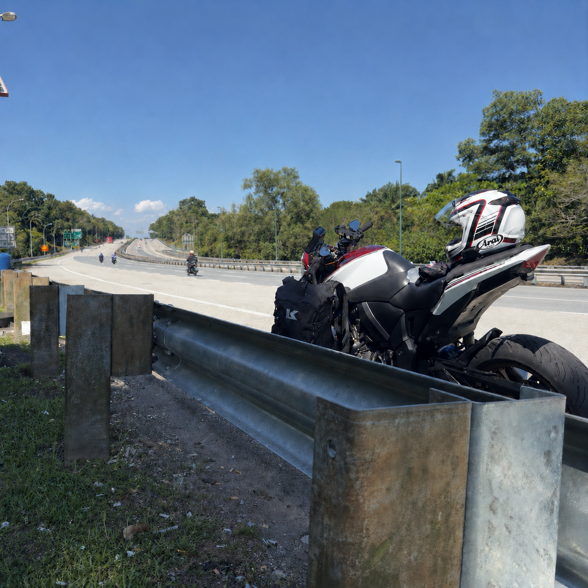 Lionhead Moto motorcycle helmet